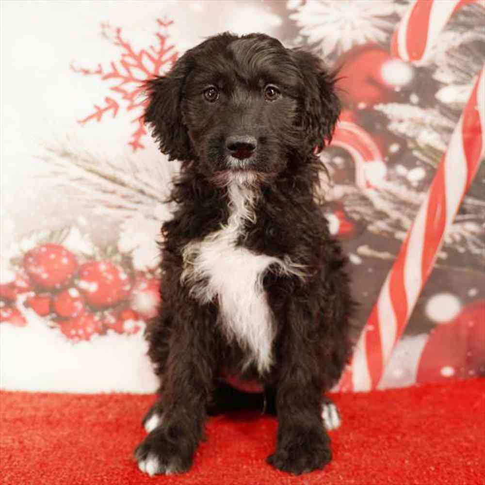 None