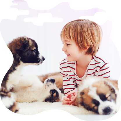 Young child smiling while playing gently with small puppies